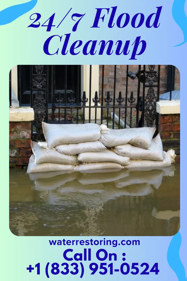 24/7 Flood Cleanup in Ohiowa, NE