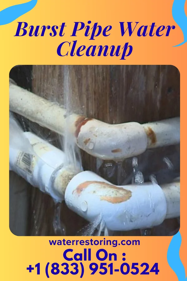 Burst Pipe Water Cleanup in Ohiowa, NE