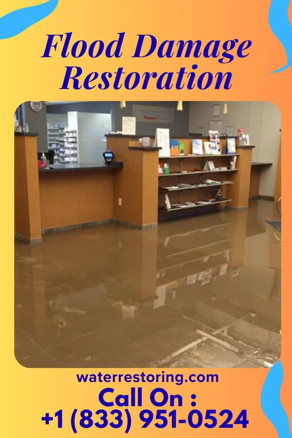 Flood Damage Restoration in Ohiowa, NE