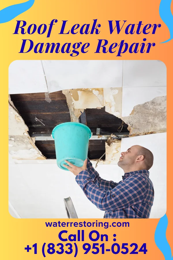 Roof Leak Water Damage Repair in Ohiowa, NE